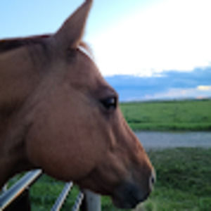 Meet your Posher, Sandra